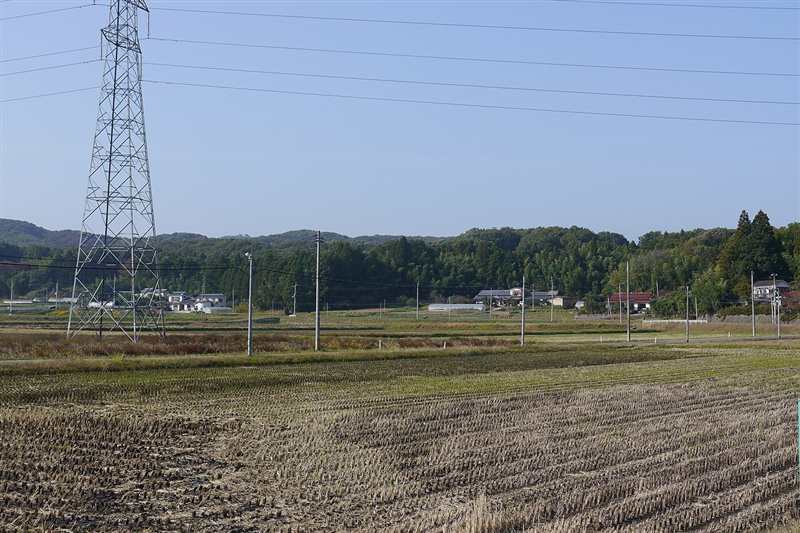 稲刈りの後の田んぼと、奥に広がる集落と林の風景